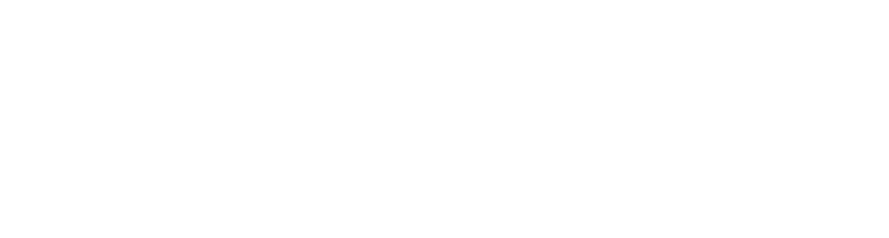 6825c955d8470133a941b012_Napp_Logo_WhiteHorizontal@4x